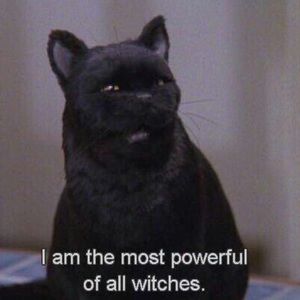 Meet your Posher, Veronica